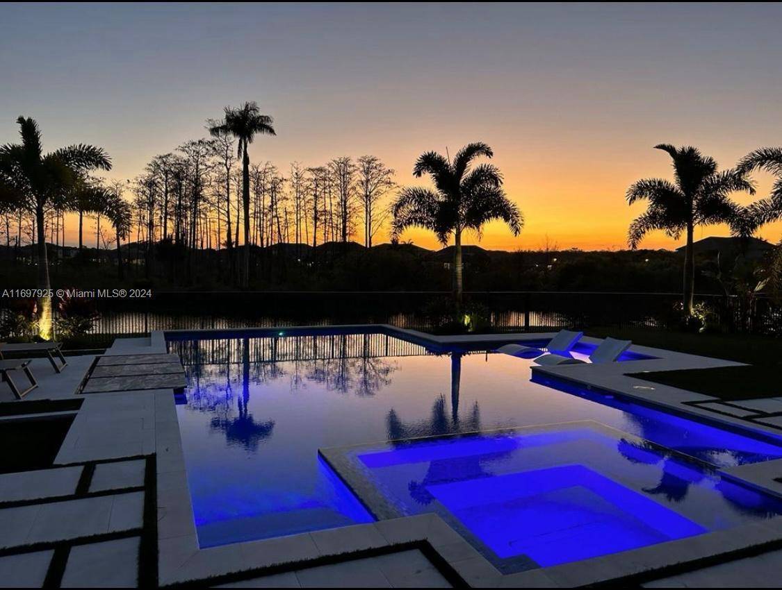 141 Cinder Dunes PtJupiter - picture