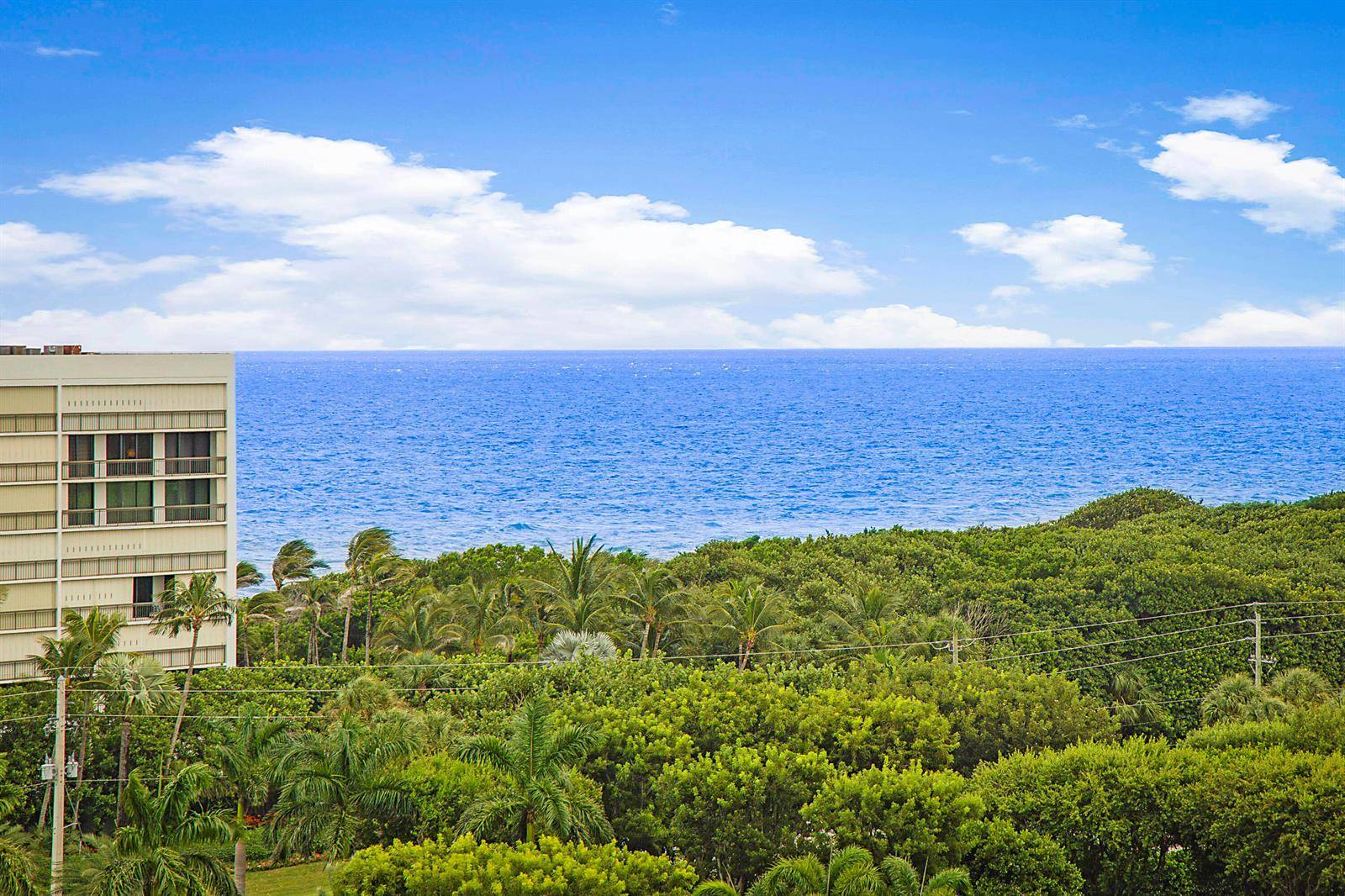 2121 N OceanBoca Raton - Condo condo unit 1103w - picture