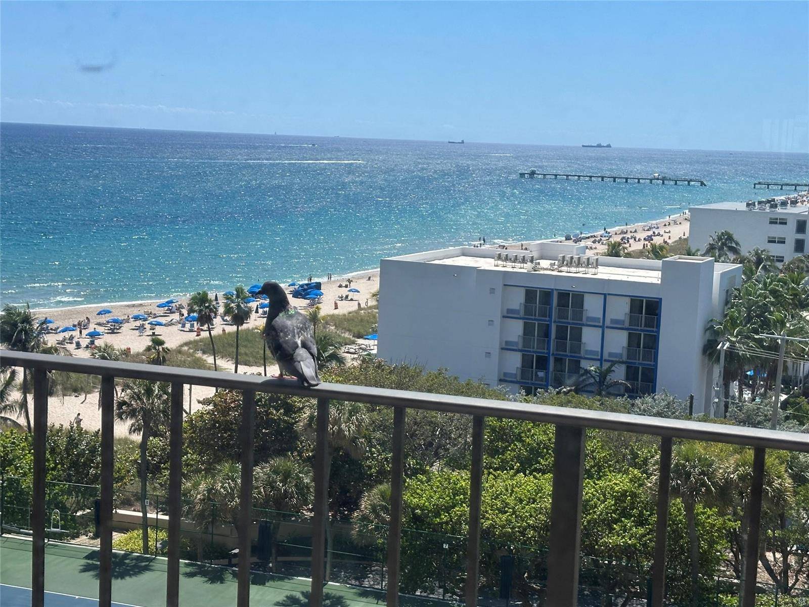 4900 N OceanLauderdale By The Sea - Condo condo unit 1003 - picture