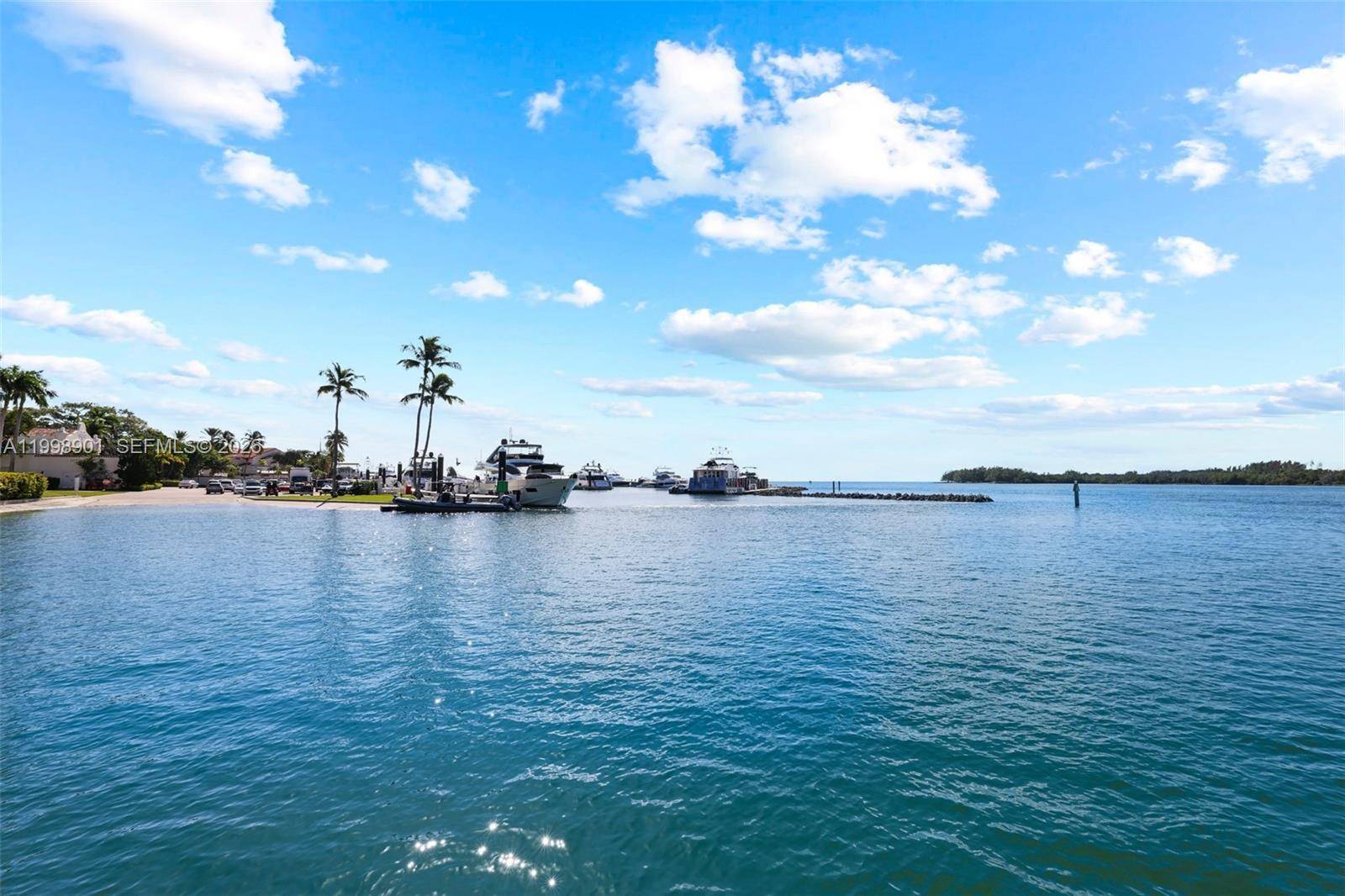 2211 Fisher Island DrMiami Beach - Condo/Co-Op/Annual,Condo condo unit 3101 - picture