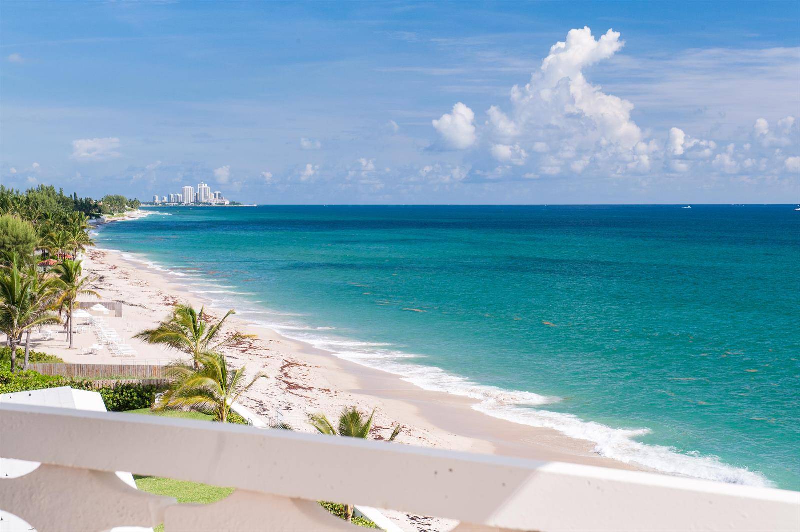 100 SunrisePalm Beach - Condo condo unit 404 - picture