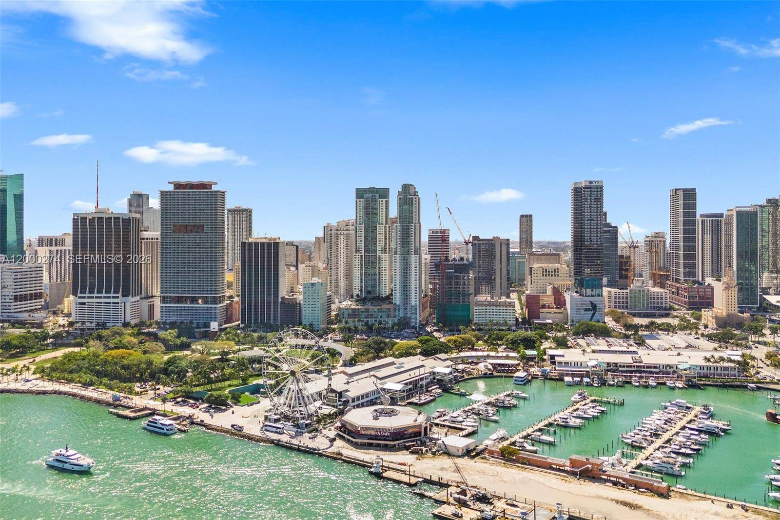 244 Biscayne BlvdMiami - Condo/Co-Op/Annual,Condo condo unit 1709 - picture