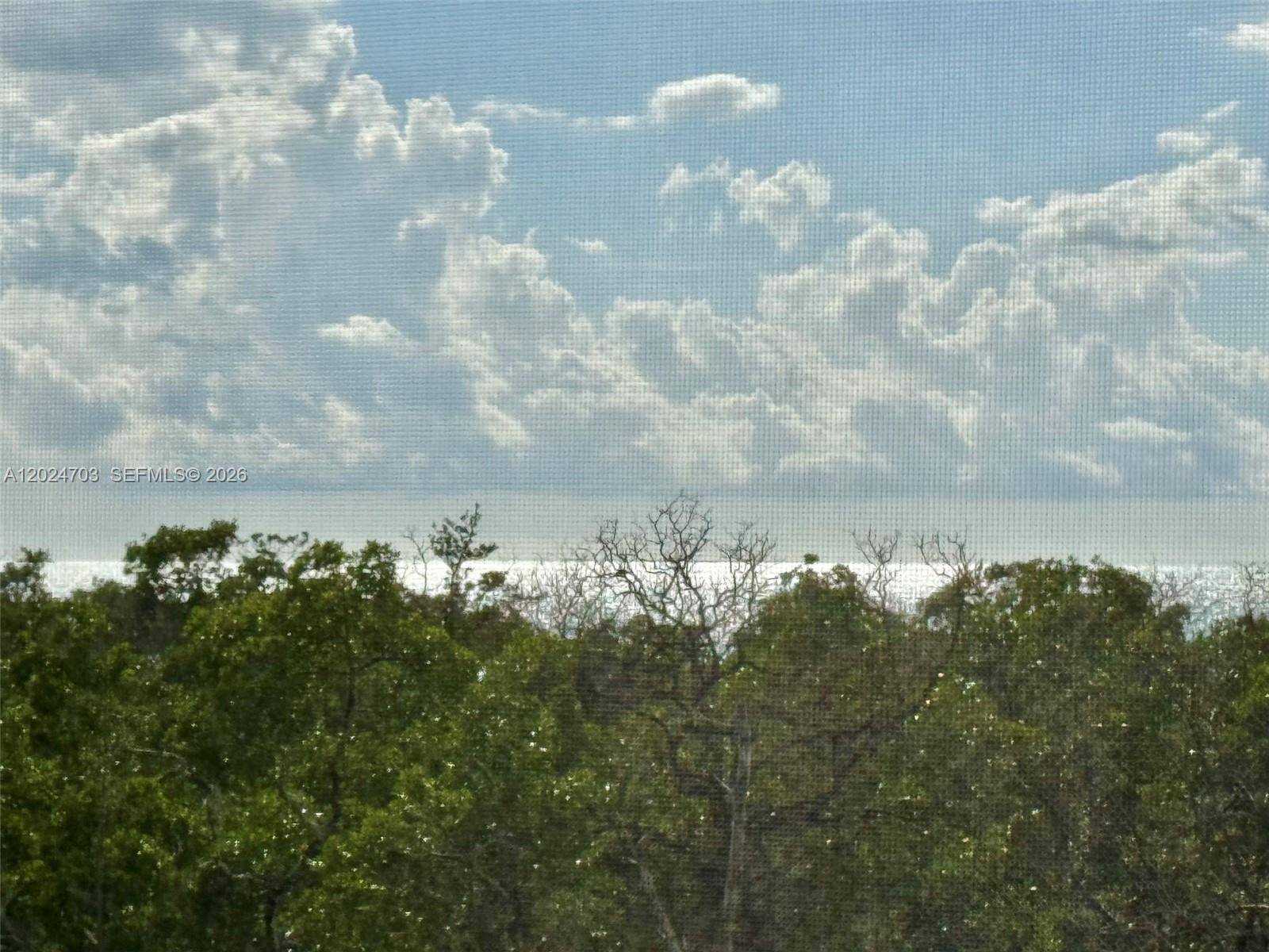 5 BluebillNaples - Condo/Co-Op/Seasonal,Condo condo unit 403 - picture