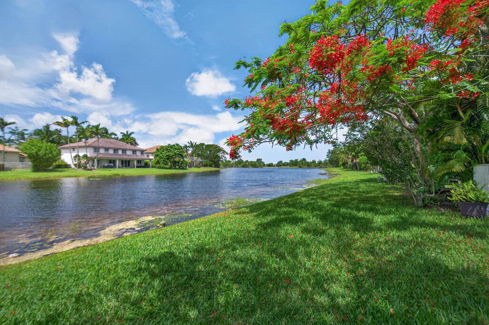 1374 Canary IslandWeston - picture