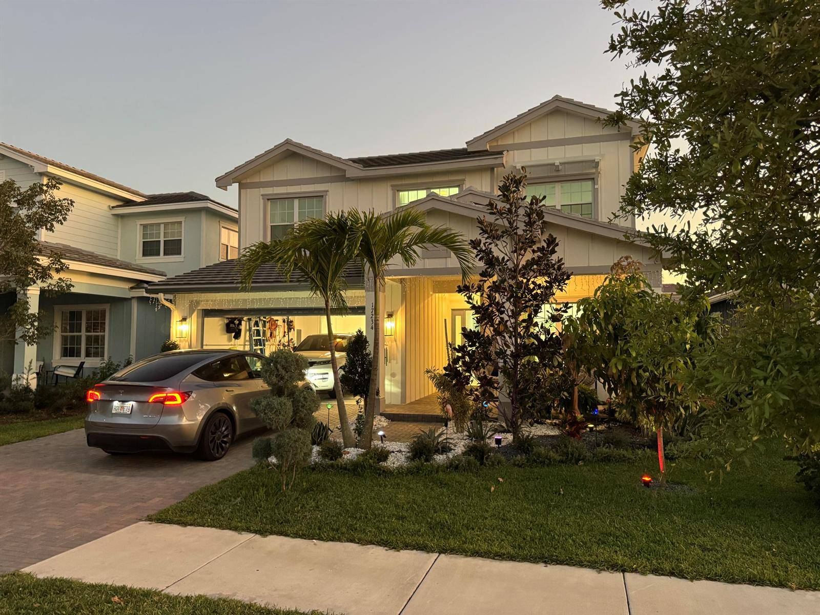 17234 Tawny OwlLoxahatchee - picture