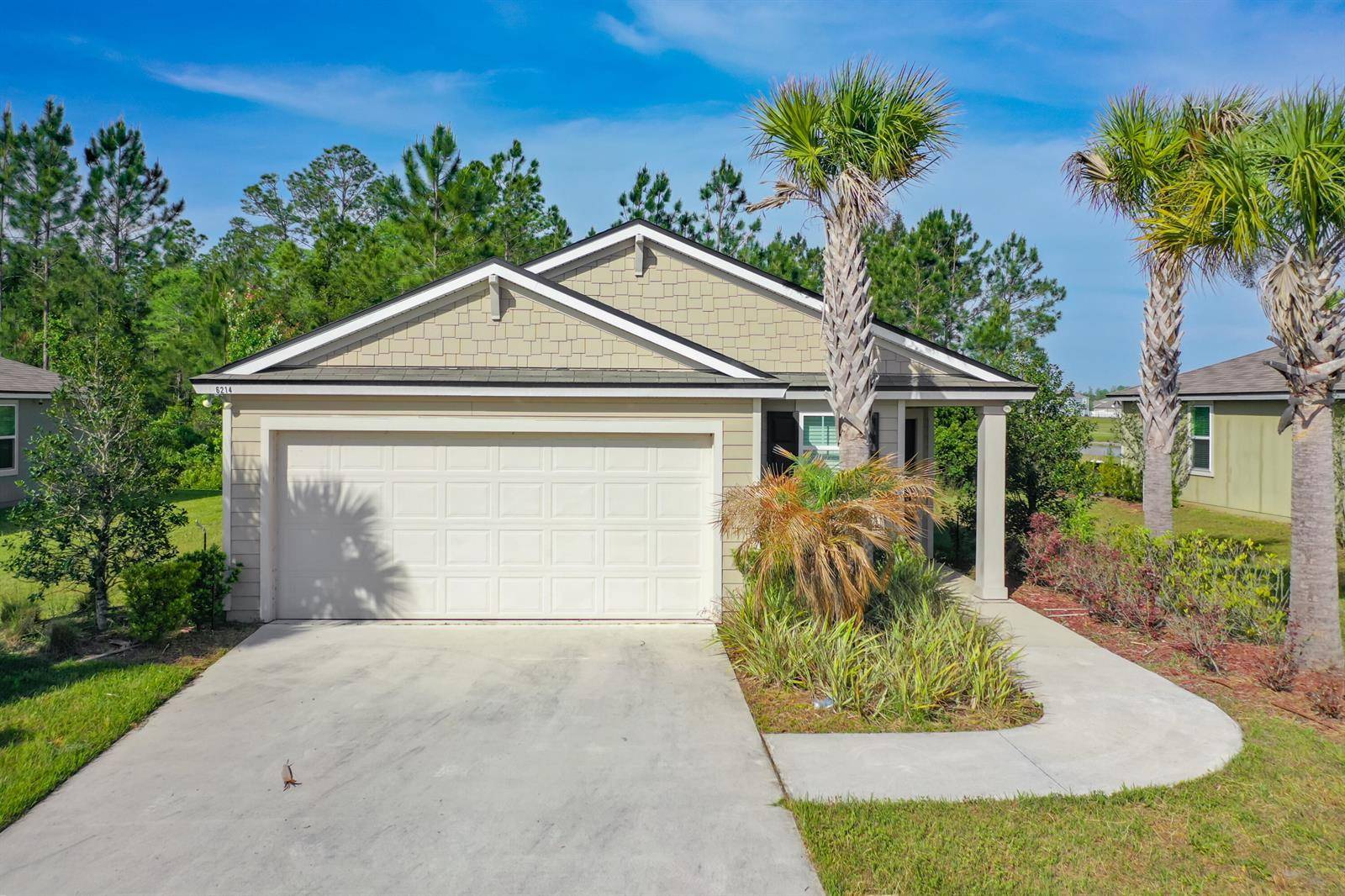 6214 Wild MustangJacksonville - picture